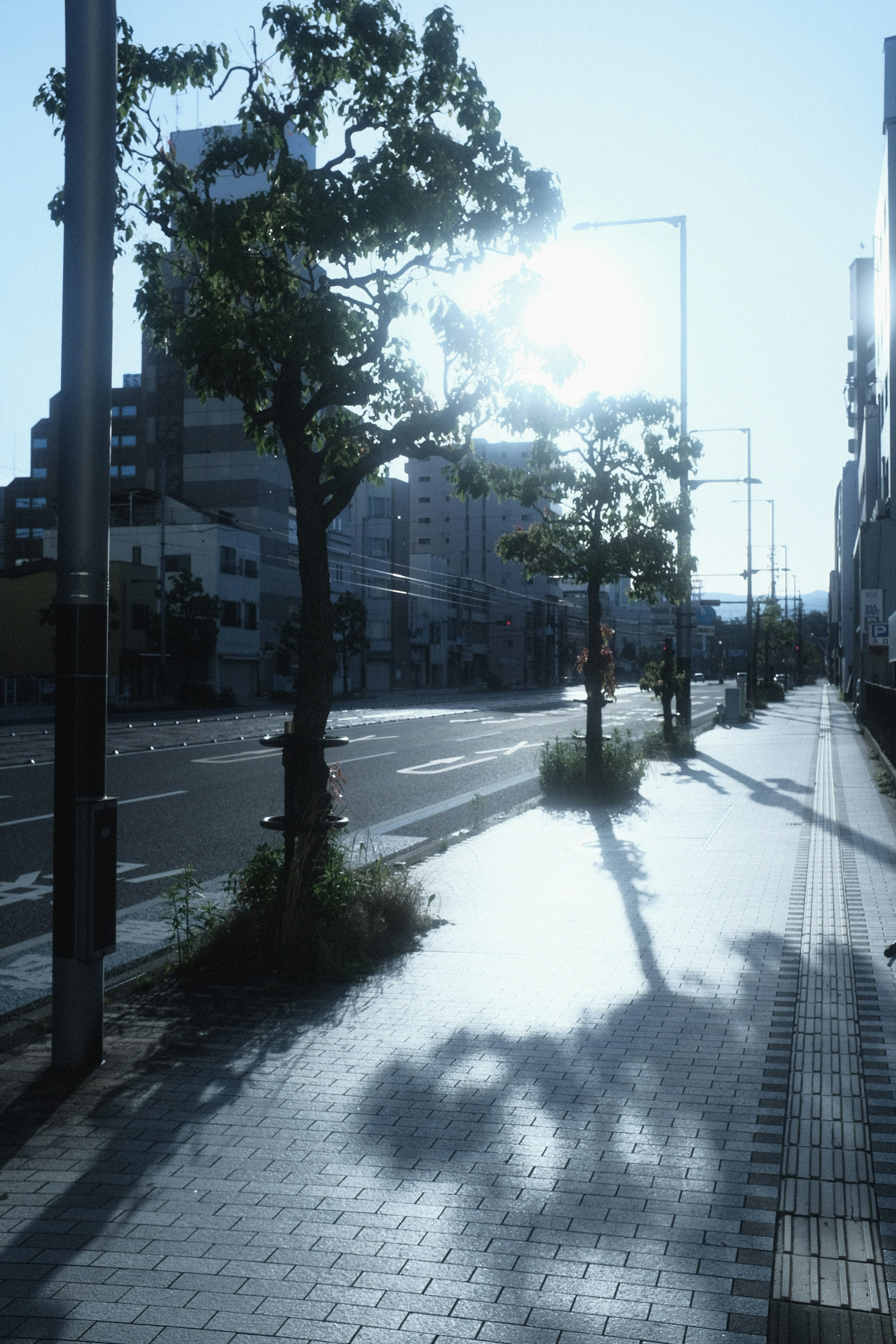 A person riding a skateboard on a city street